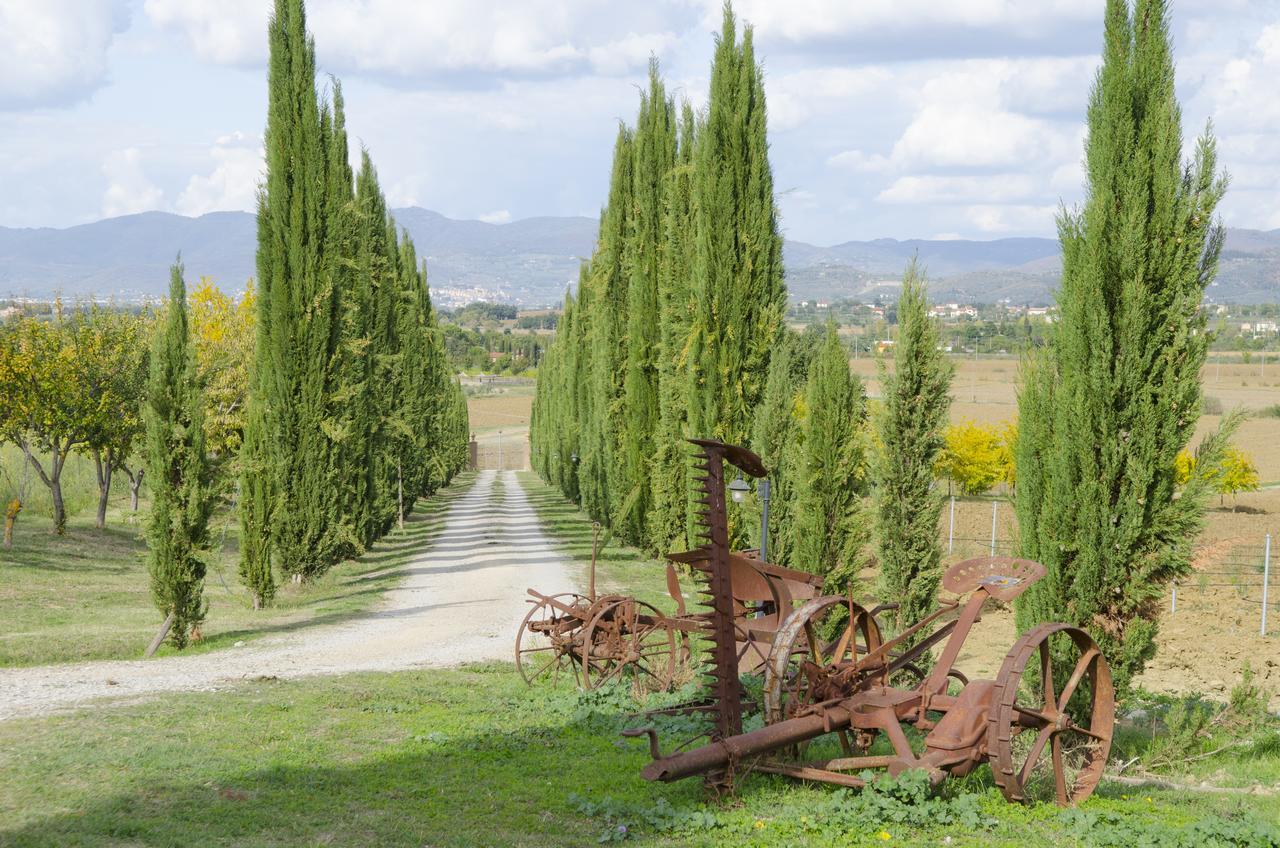 VILLA Fattoria Le Giare Agriturismo Cortona Exterior foto